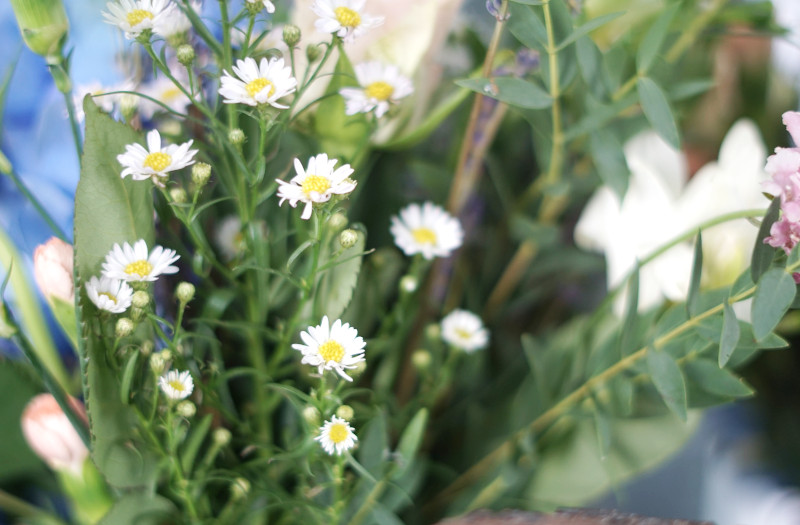 bouquet bloom wild septembre