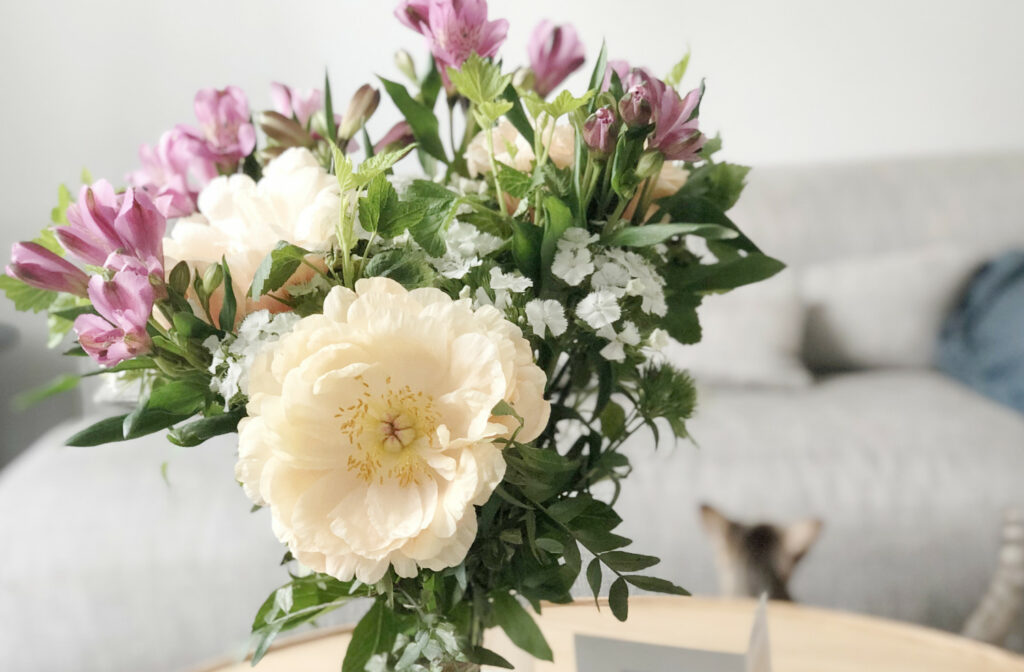 bouquet monsieur marguerite avis